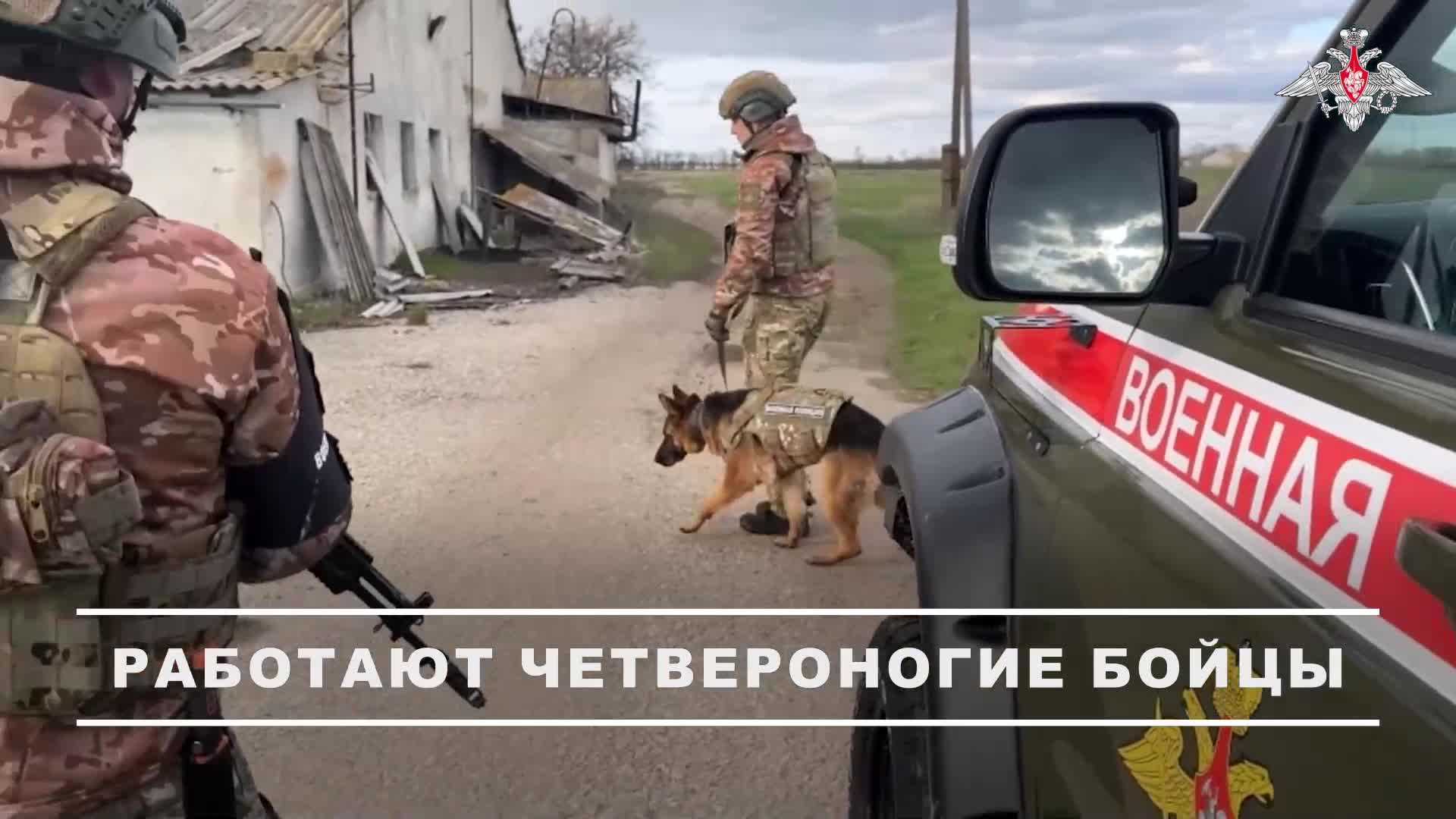 🦮 Кинологические расчеты военной полиции группировки войск «Днепр» ежедневно проводят разминиров...