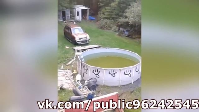 Приколы Январь 2017 №20