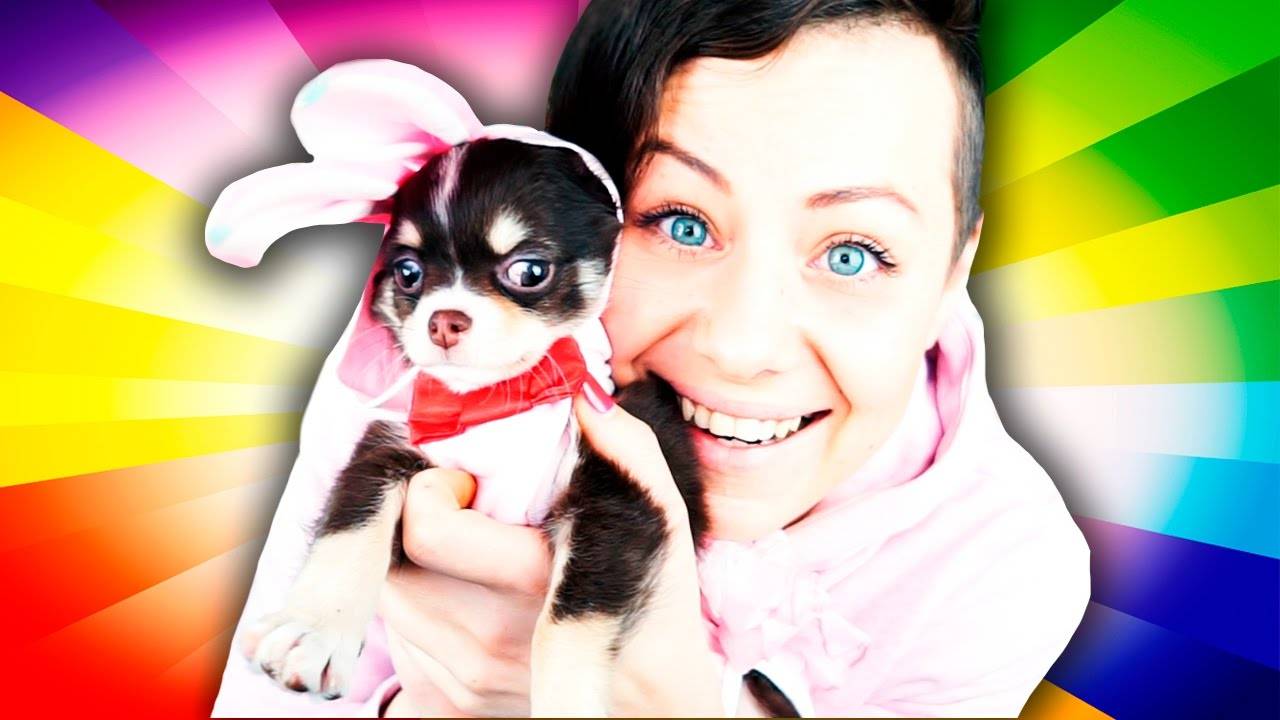 Наш новый пушистый друг — знакомство с щенком 🐾🎉