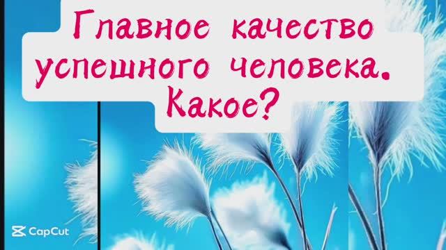 Главное качество успешного человека - какое?