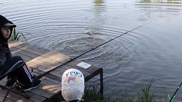 Светлые Горы Карп2 24.05.2025г.