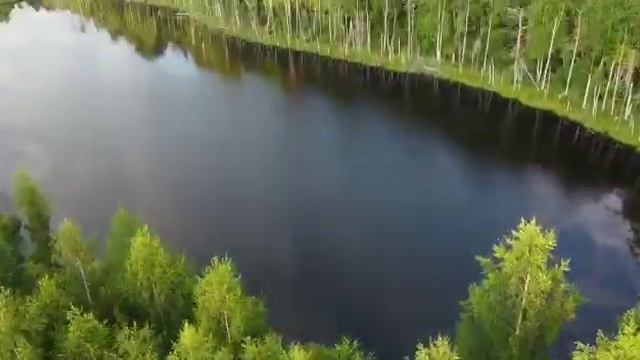VID-20250511-WA0000