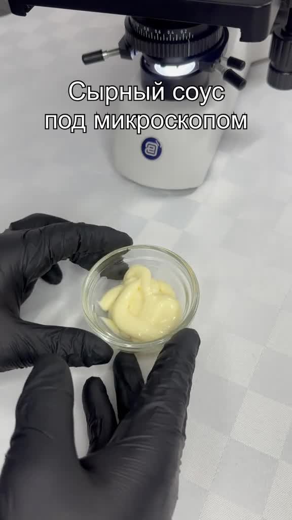 #микроскоп #интересно #подмикроскопом #наука #микромир