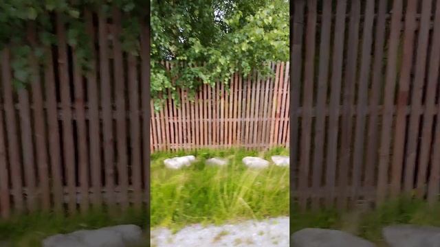 Камни под фундамент нового забора!