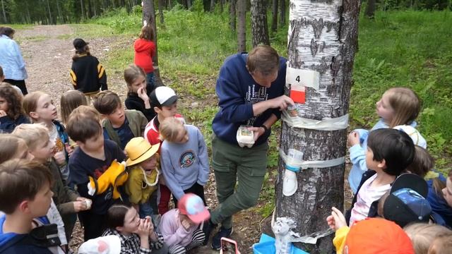 Школьный лагерь «Я сам» в «Золотом сечении»