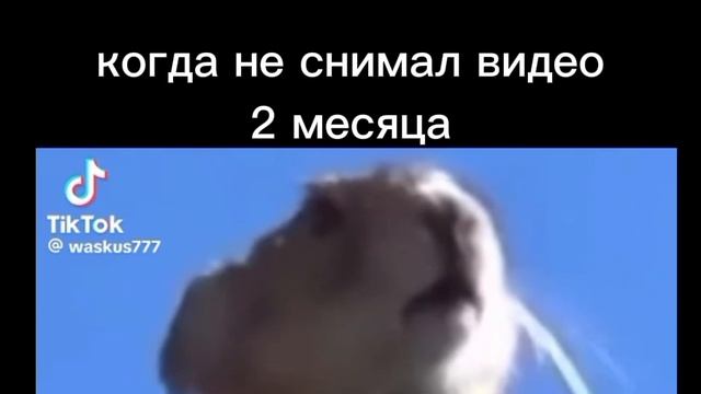 (((((