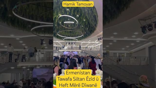 Hamik Tamoyan -  Delîlim #music #wedding #shorts #ezidi #mashup #top