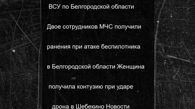 Белгородские футболисты обыграли столичную «Родину-М»