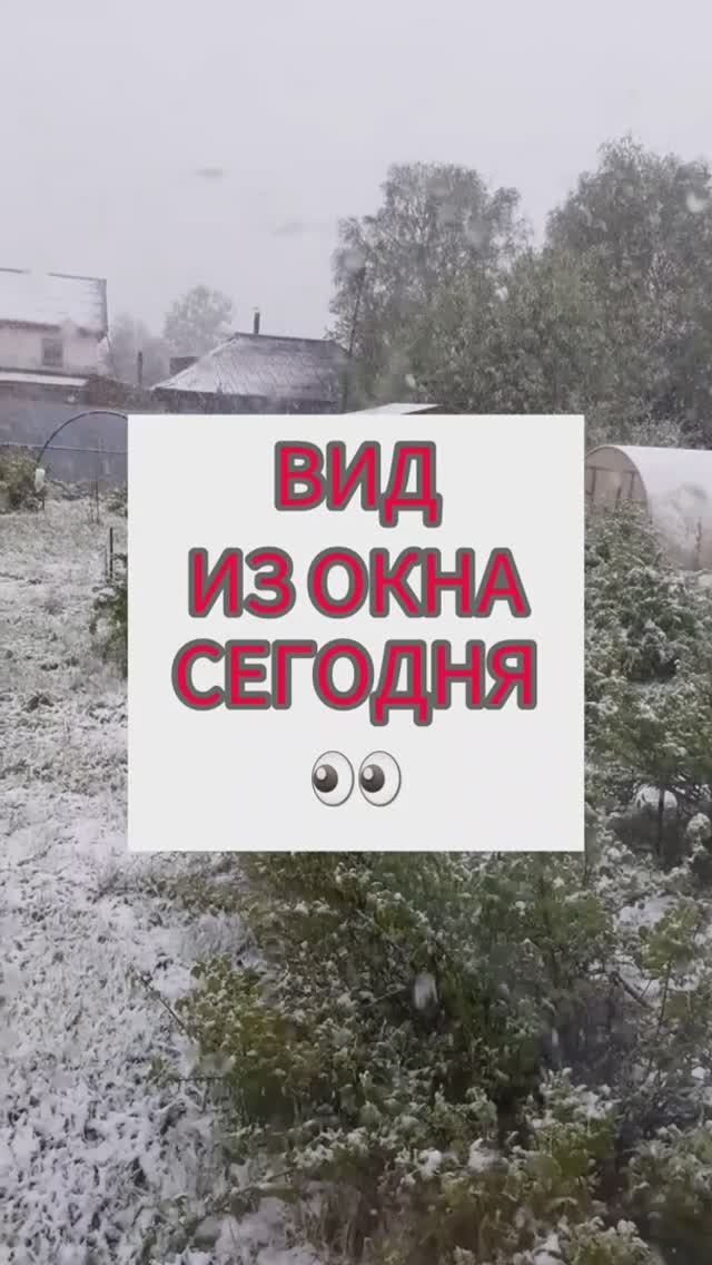 Вид из окна