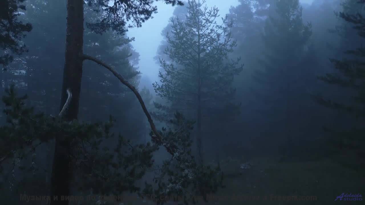 Лёгкие наполняются свежестью вместе со звучащими нотами - Workaholic -- Tadz -- 2020