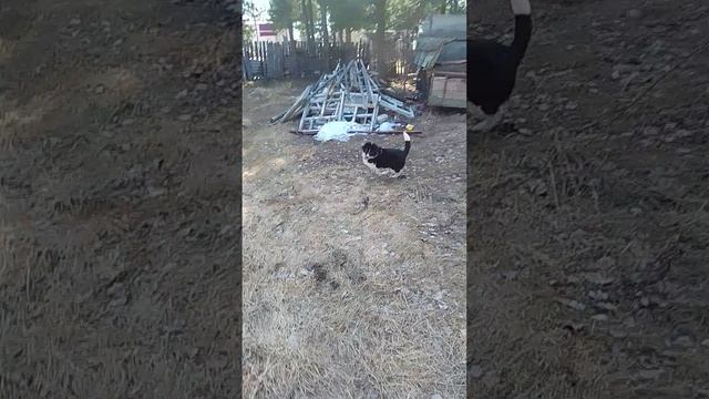 1000047525.mp4