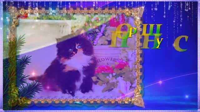 😺ДОБРОГО ПЯТНИЧНОГО УТРЕЧКА ВАМ! 😺С ДОБРЫМ УТРОМ! ХОРОШЕЙ ВАМ ПЯТНИЦЫ! 😺МИЛЫЕ КОТЯТА В ПЯТНИЦУ😺