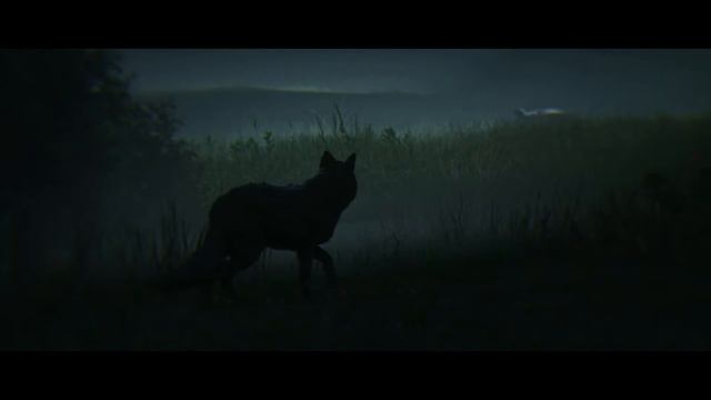 Red Dead Redemption 2 сон