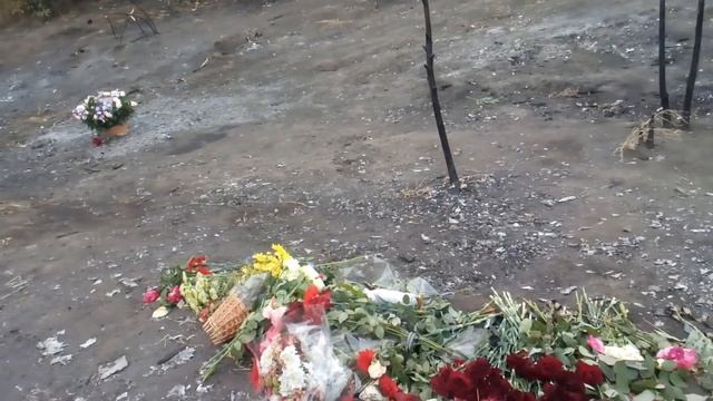 Место крушения самолета. Чугуев. Авиакатастрофа
