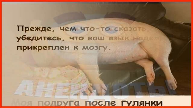 ЧИТАЕМ СВЕЖИЕ АНЕКДОТЫ – подборка, от которой хочется жить! 🌈😊