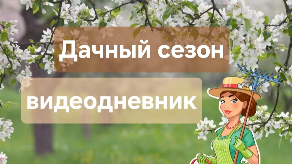 ВЛОГ : Дачный сезон 2025. Работы в саду. Видеодневник. #дача #садоводство