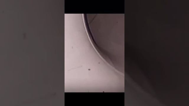1000006881.mp4