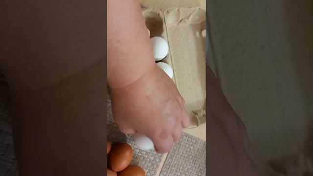 1000025862.mp4