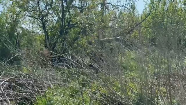Александро-Калиновское направление работа ПТРК "Коронет".