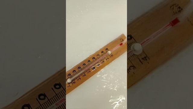 1000004419.mp4
