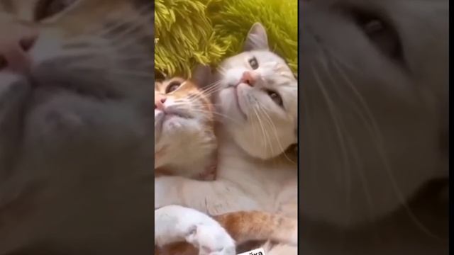 Засыпая с любимой женщиной