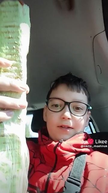 Ем гигантскую зелёную шаурму