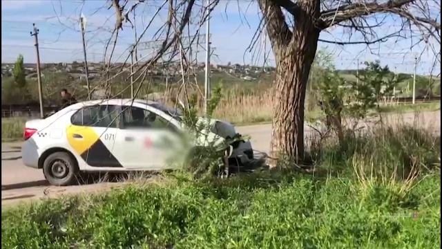 В Волгограде таксист врезался в дерево и умер