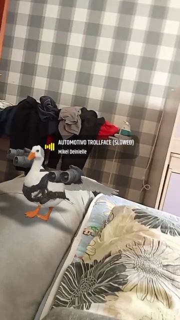 1000008891.mp4