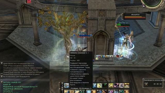 (Альгиза) МудрыйЭльф VS Волшебник фео PvP,Олимп,Год,(Desperion)