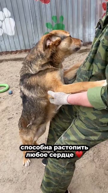 Способна растопить любое сердце! | Данга