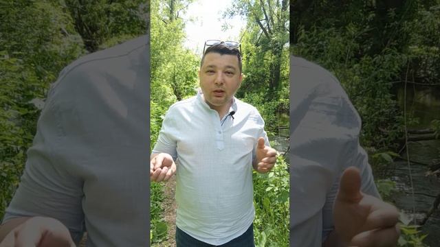 Партнёрская программа Дары регионов