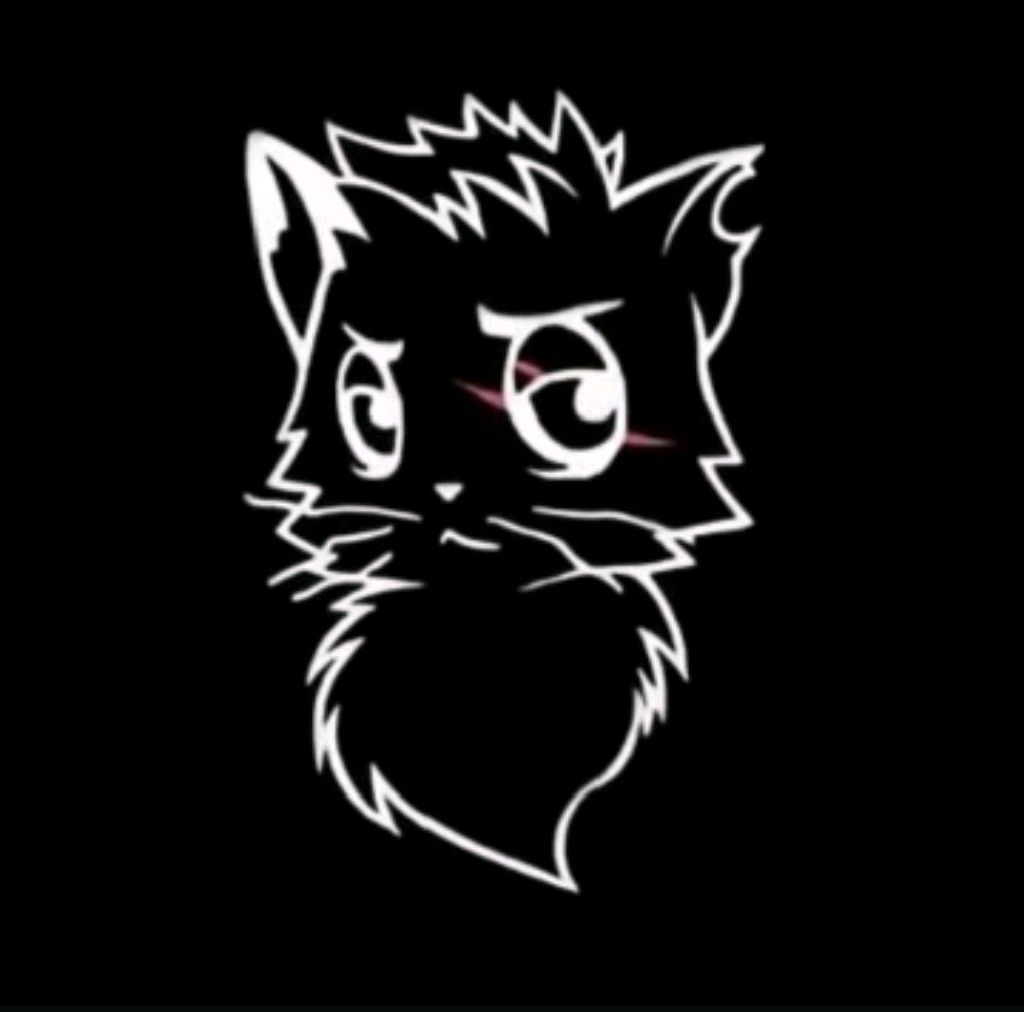 CS:1.6
