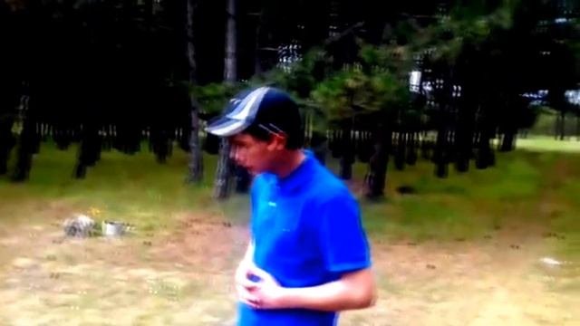 случай в лісі