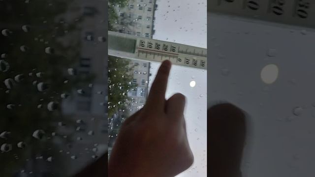 100 китайская Доширак