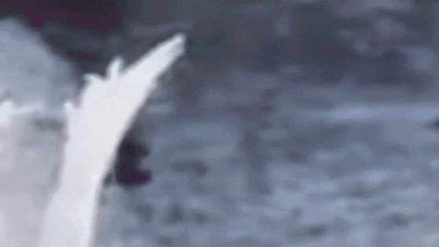 Ещё одно межпространственное существо, зафиксированное камерой наблюдения.