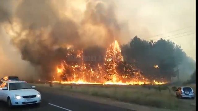 Пожар в Лесхозе 15 08 2017 Каменск Шахтинский
