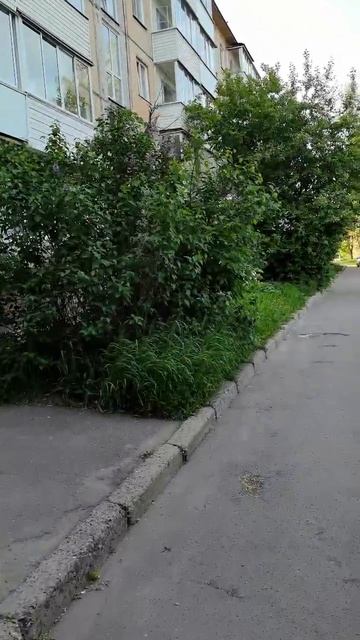 1000101676.mp4