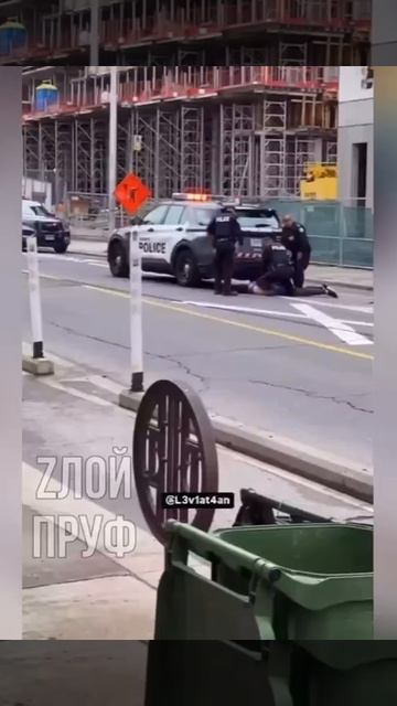 А это Торонто, Канада. Коп с шокером проявил чудеса меткости.