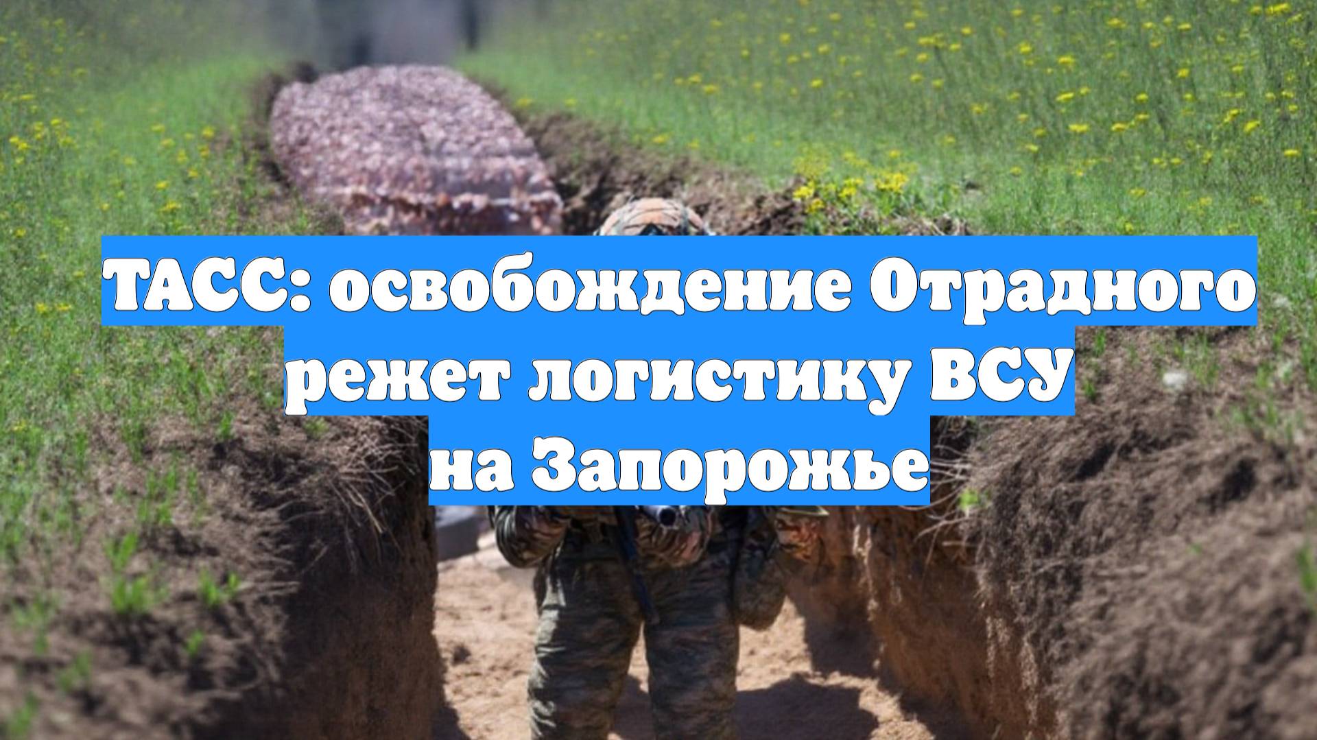 ТАСС: освобождение Отрадного режет логистику ВСУ на Запорожье