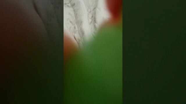 история ам няма часть2