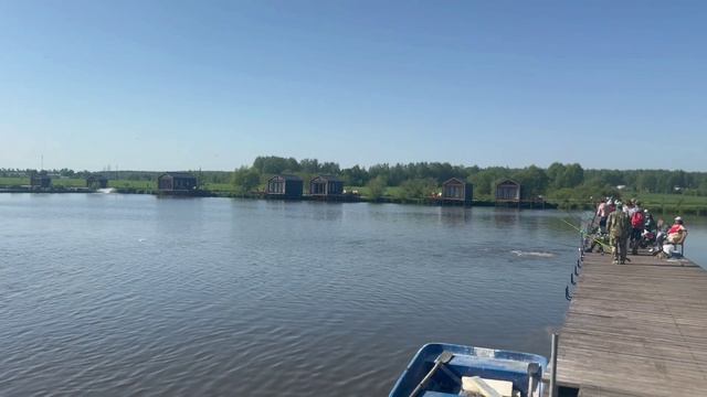 Субботнее утро 24.05.25