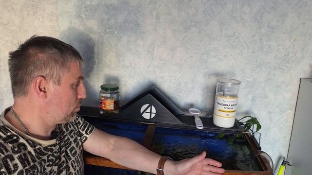 Водоросли! как убрать