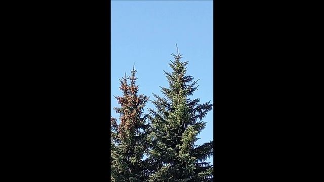 Самолет