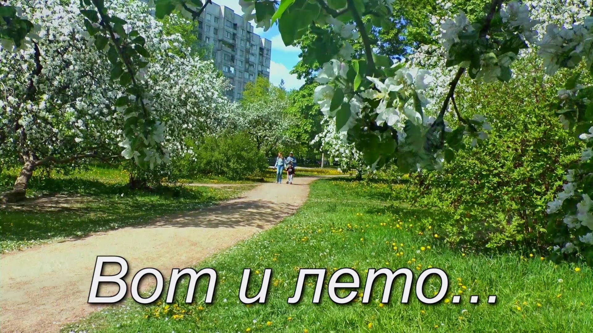 Вот и лето