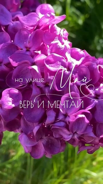 На улице май