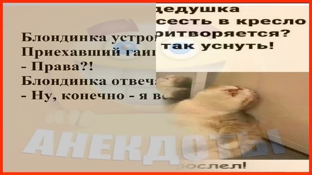 СВЕЖИЕ СМЕШНЫЕ АНЕКДОТЫ – топ-5 самых угарных! 🚀🤣