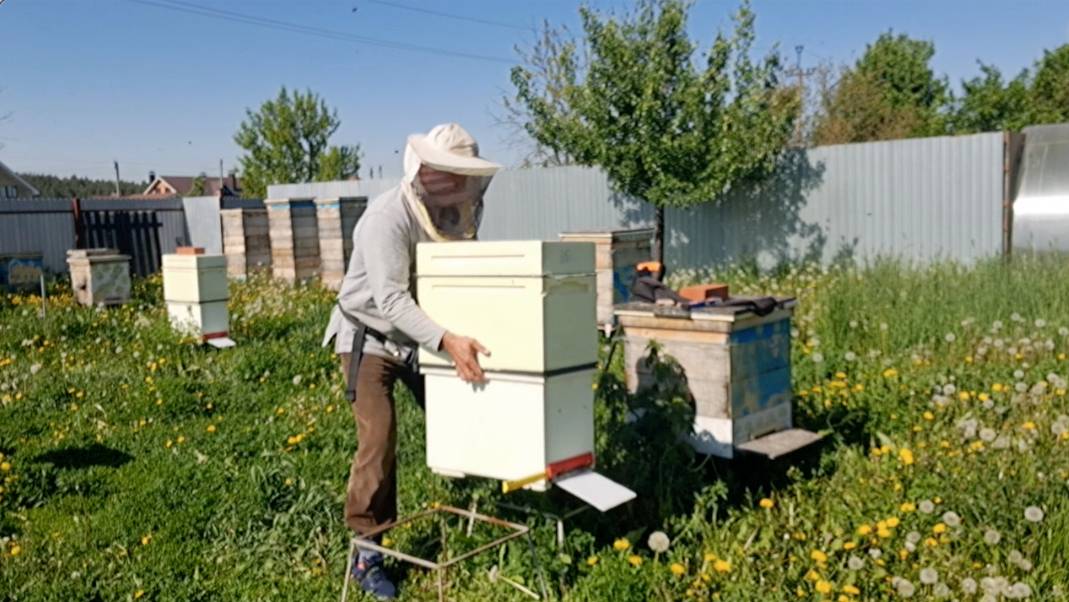 Перемещение ульев по пасеке. Зачем и как.