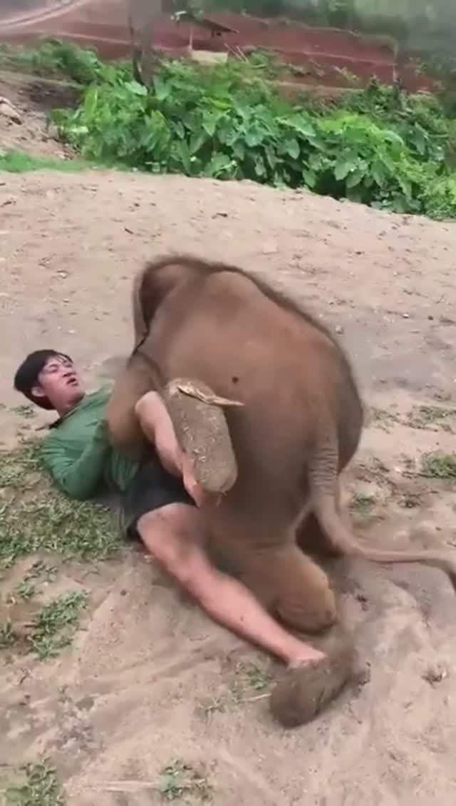 Давай поиграем!