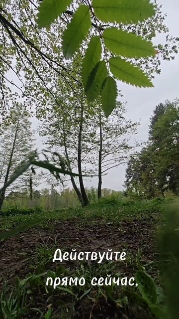 Жизнь - это движение