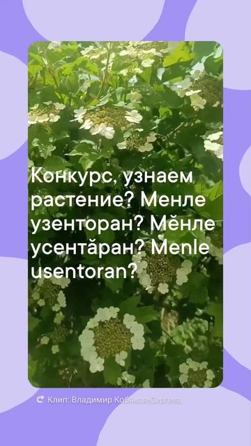 1000624391.mp4